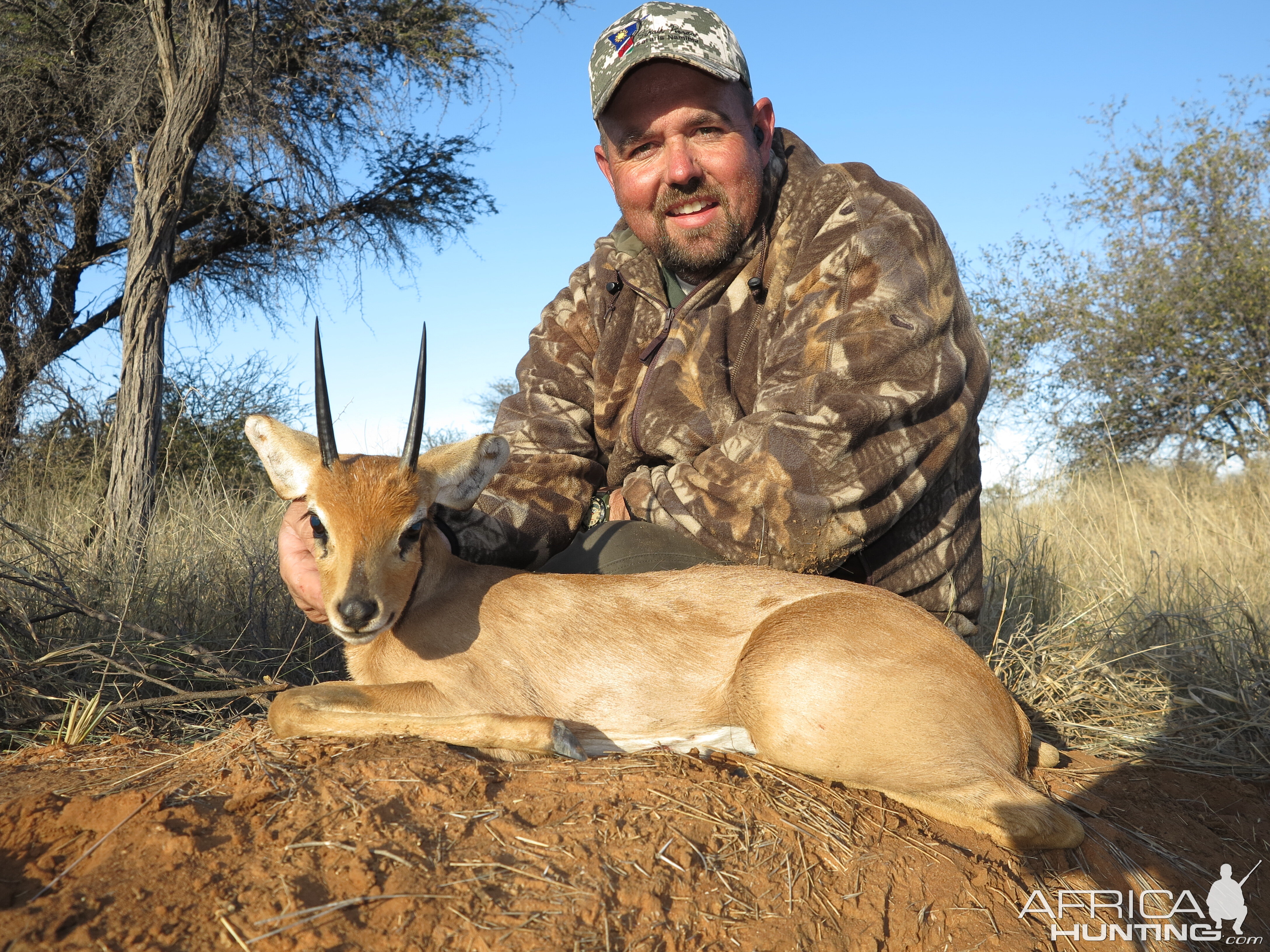 Steenbok Hunting Namibia