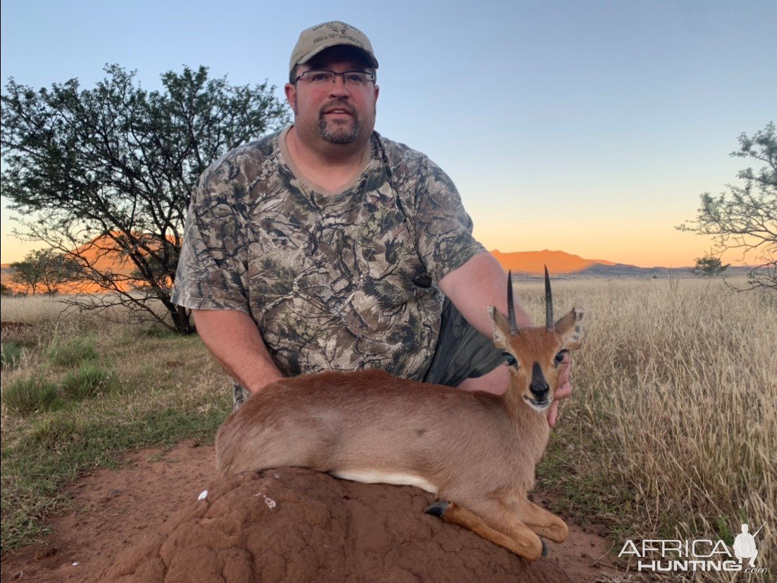 Steenbok Hunting South Africa