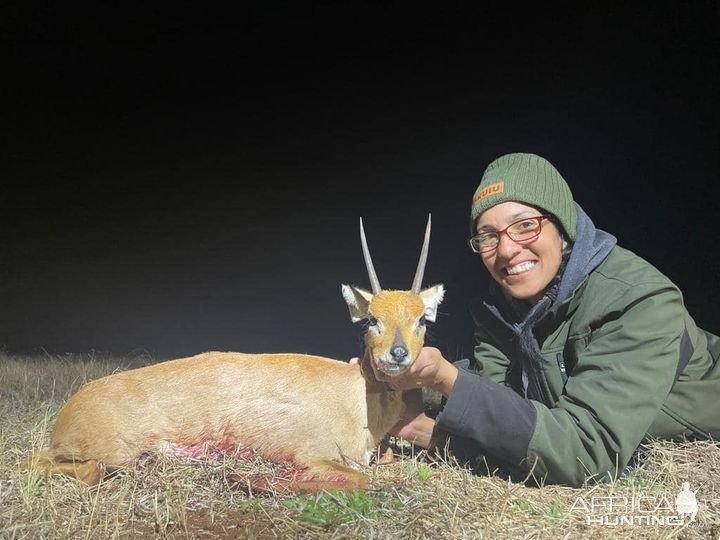 Steenbok Hunting South Africa