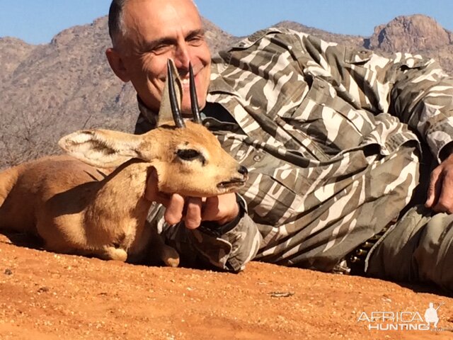 Steenbok Hunting South Africa