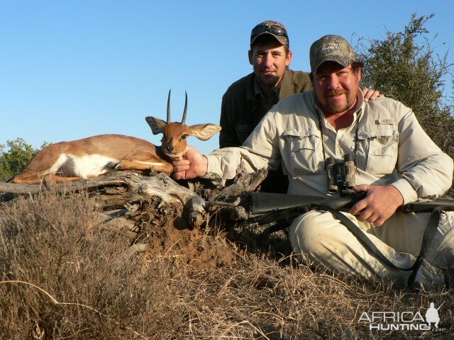 Steenbok Hunting