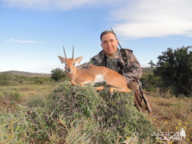 Steenbok Hunting