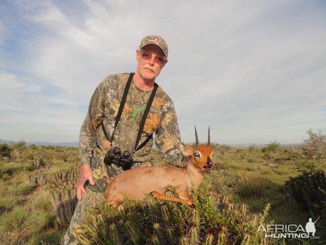 Steenbok Hunting