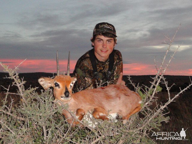 Steenbok Hunting