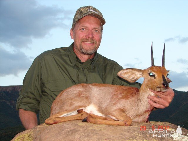 Steenbok Hunting