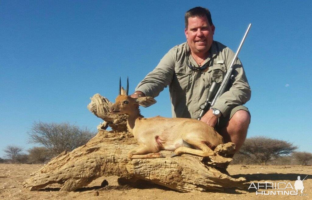 Steenbok Namibia Hunting