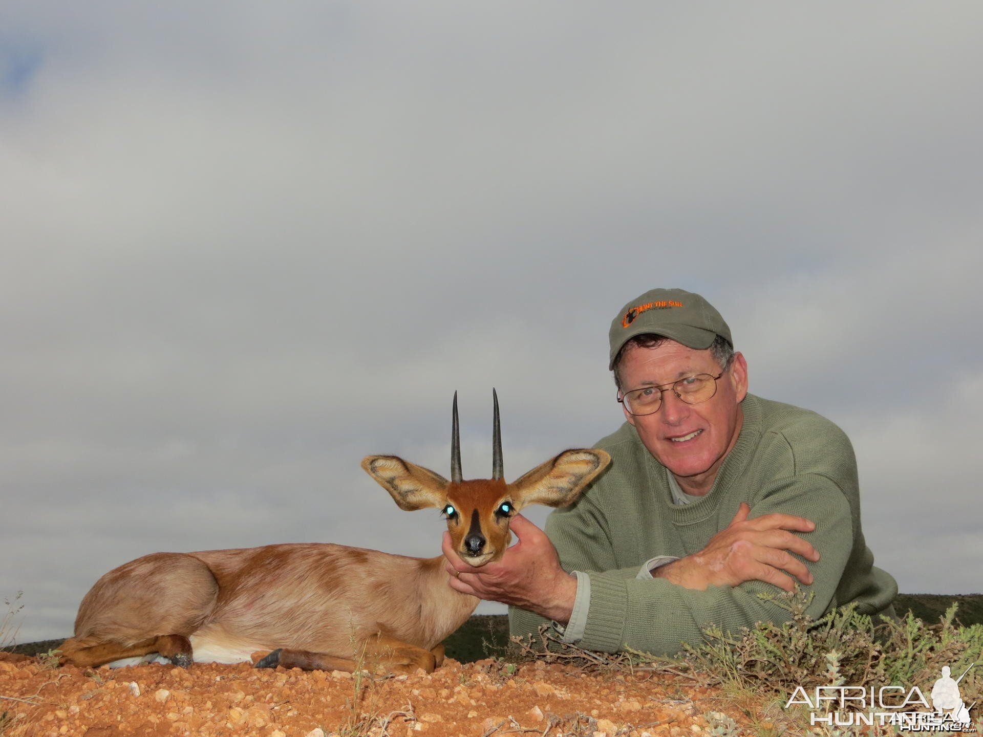 Steenbok South Africa