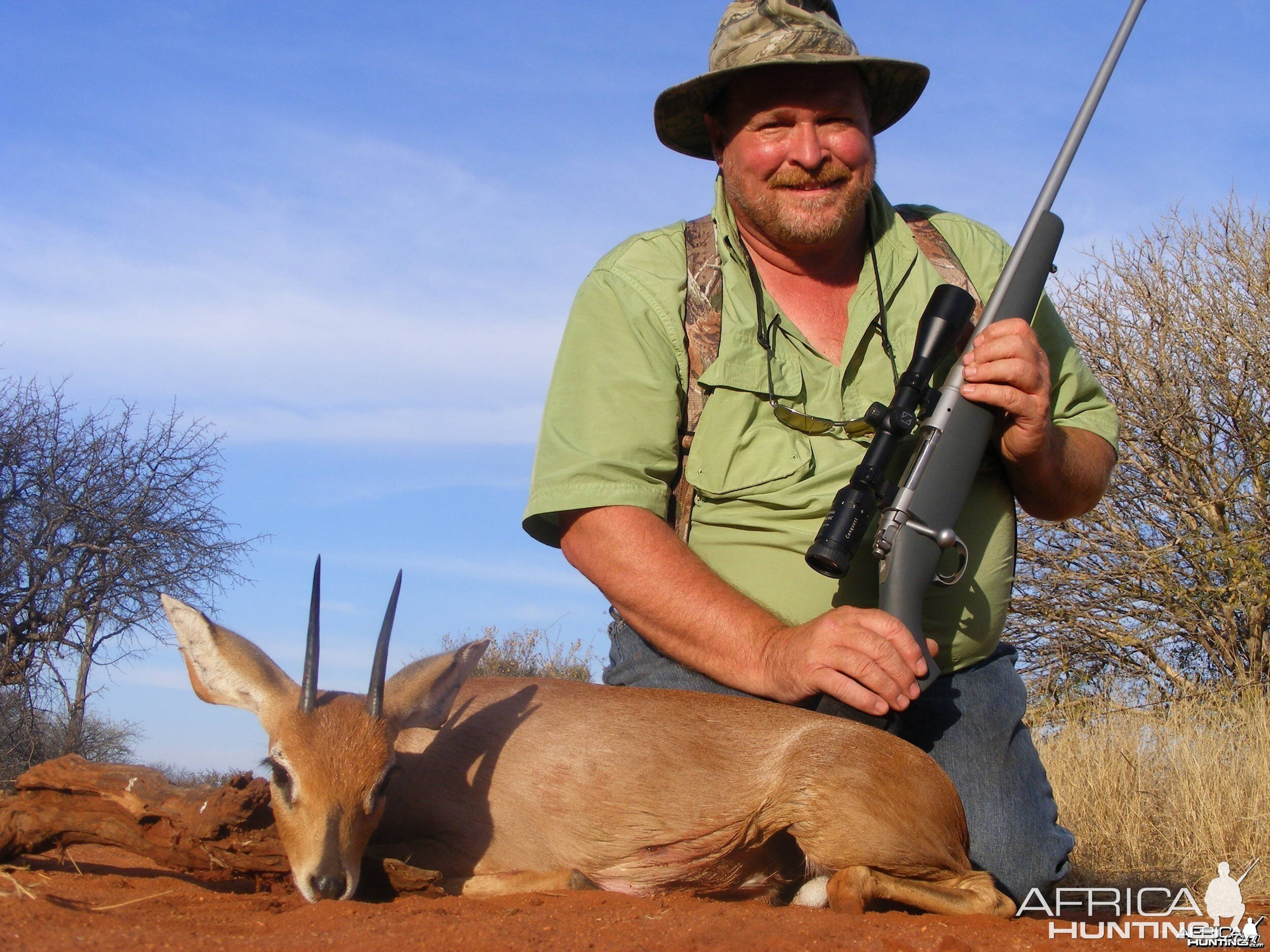 Steenbok