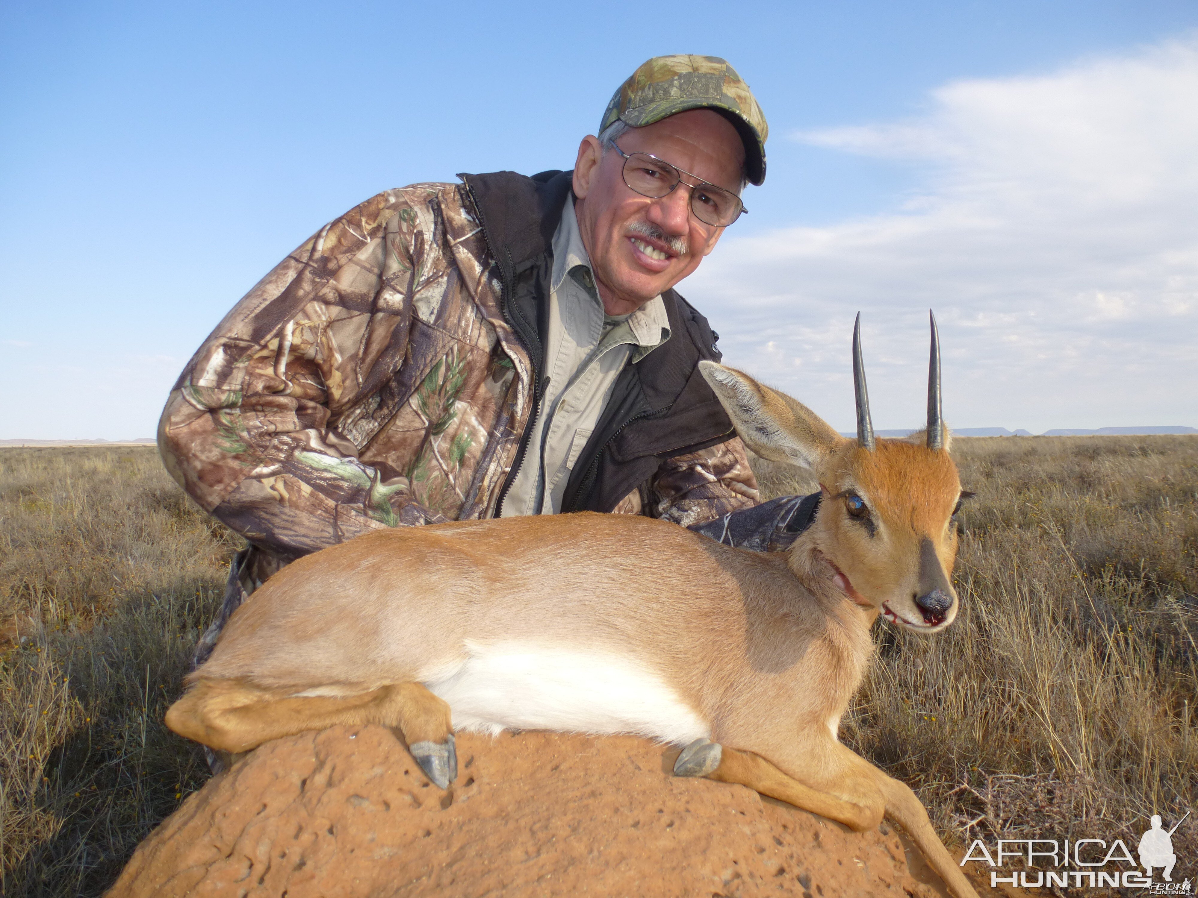 Steenbok