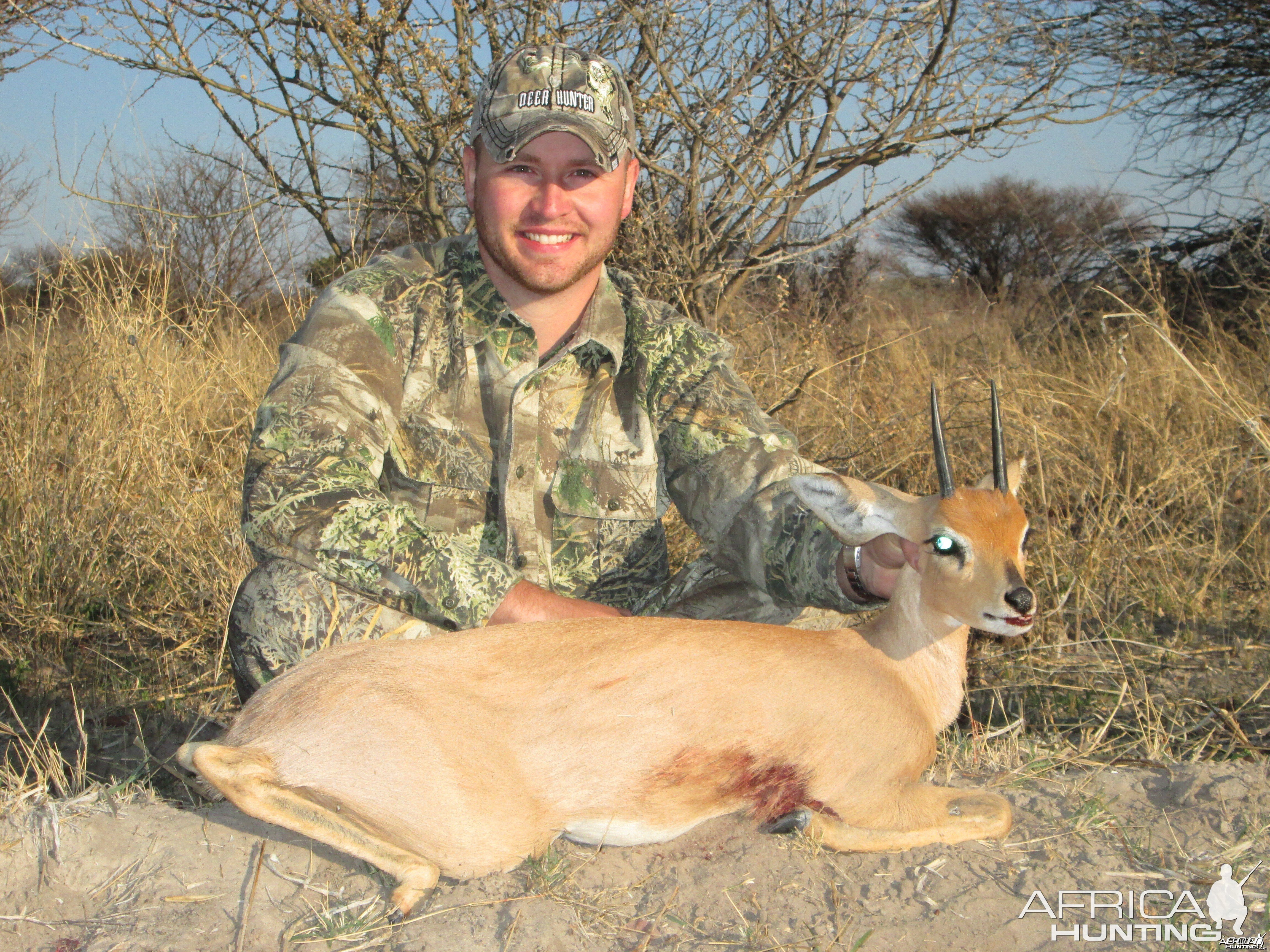 Steenbok