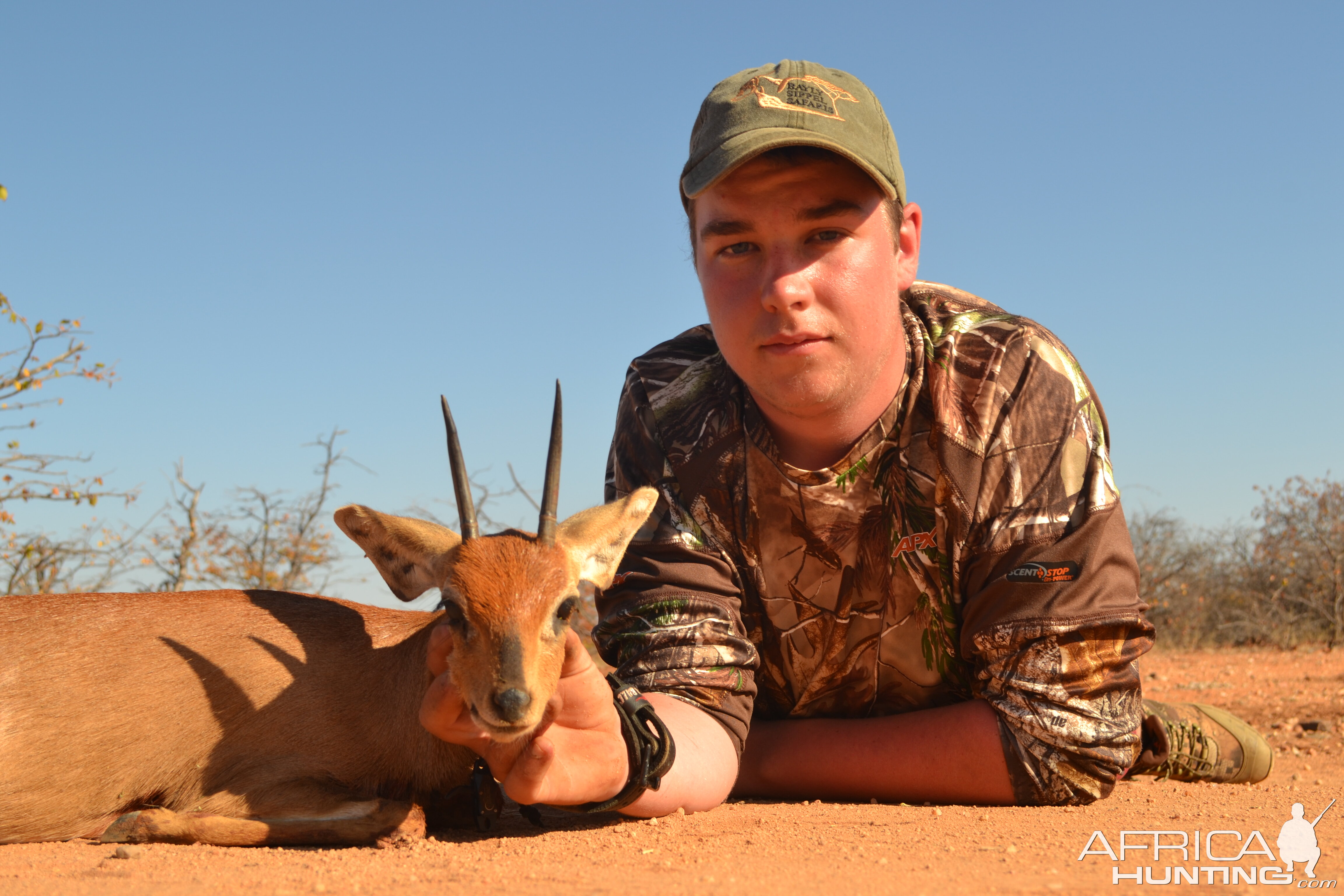 Steenbok