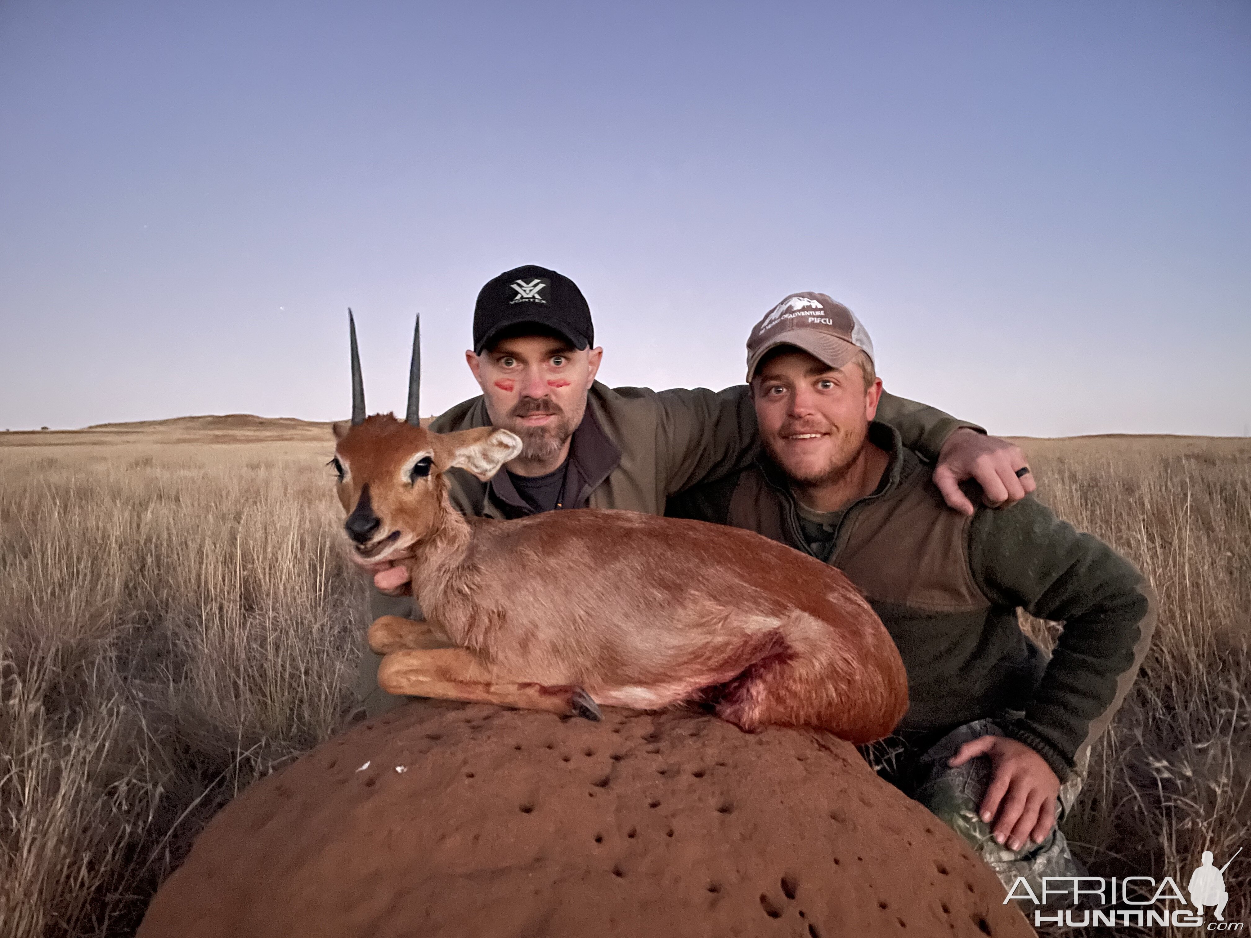 Steenbuck Hunt South Africa | AfricaHunting.com