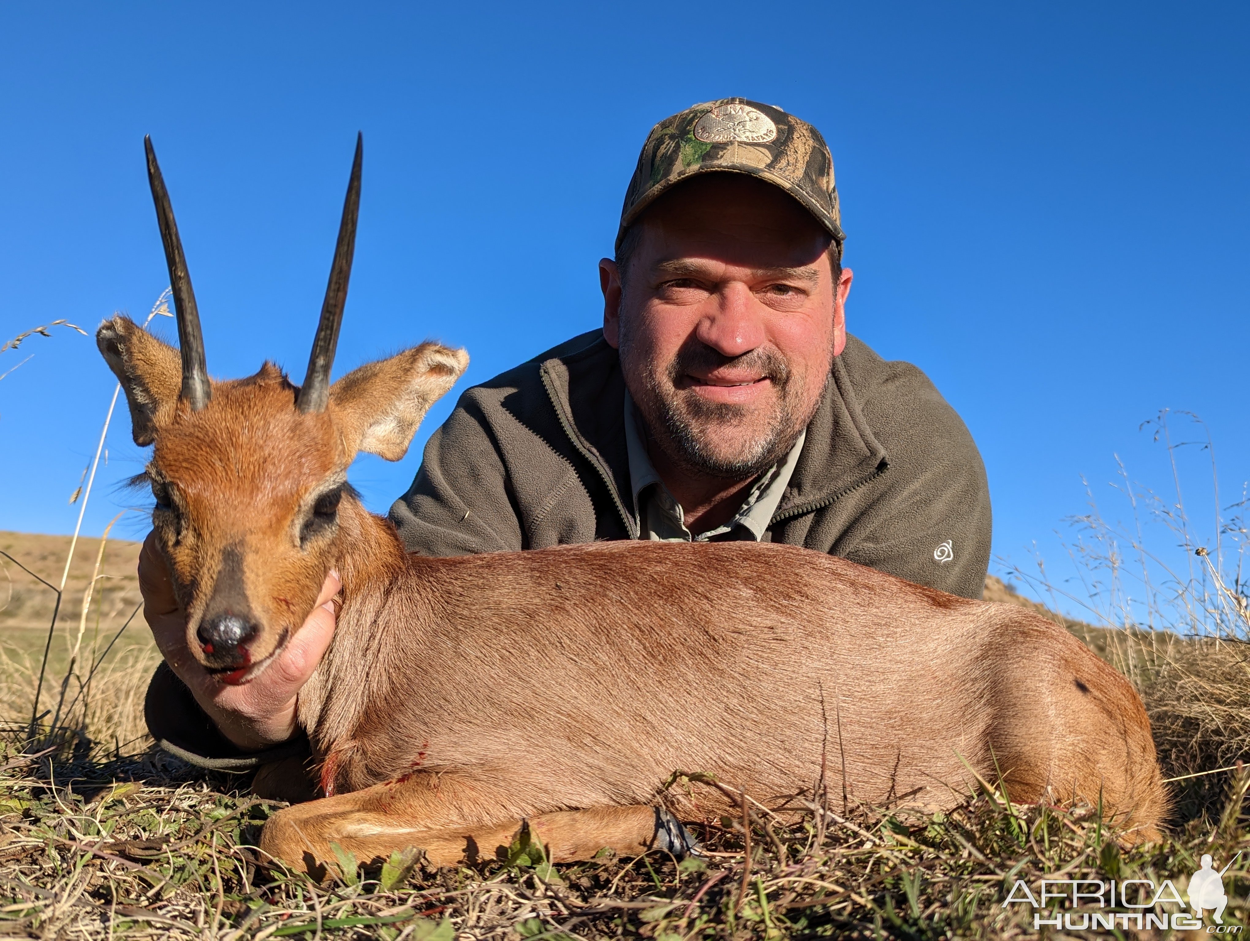 Steenbuck Hunt South Africa