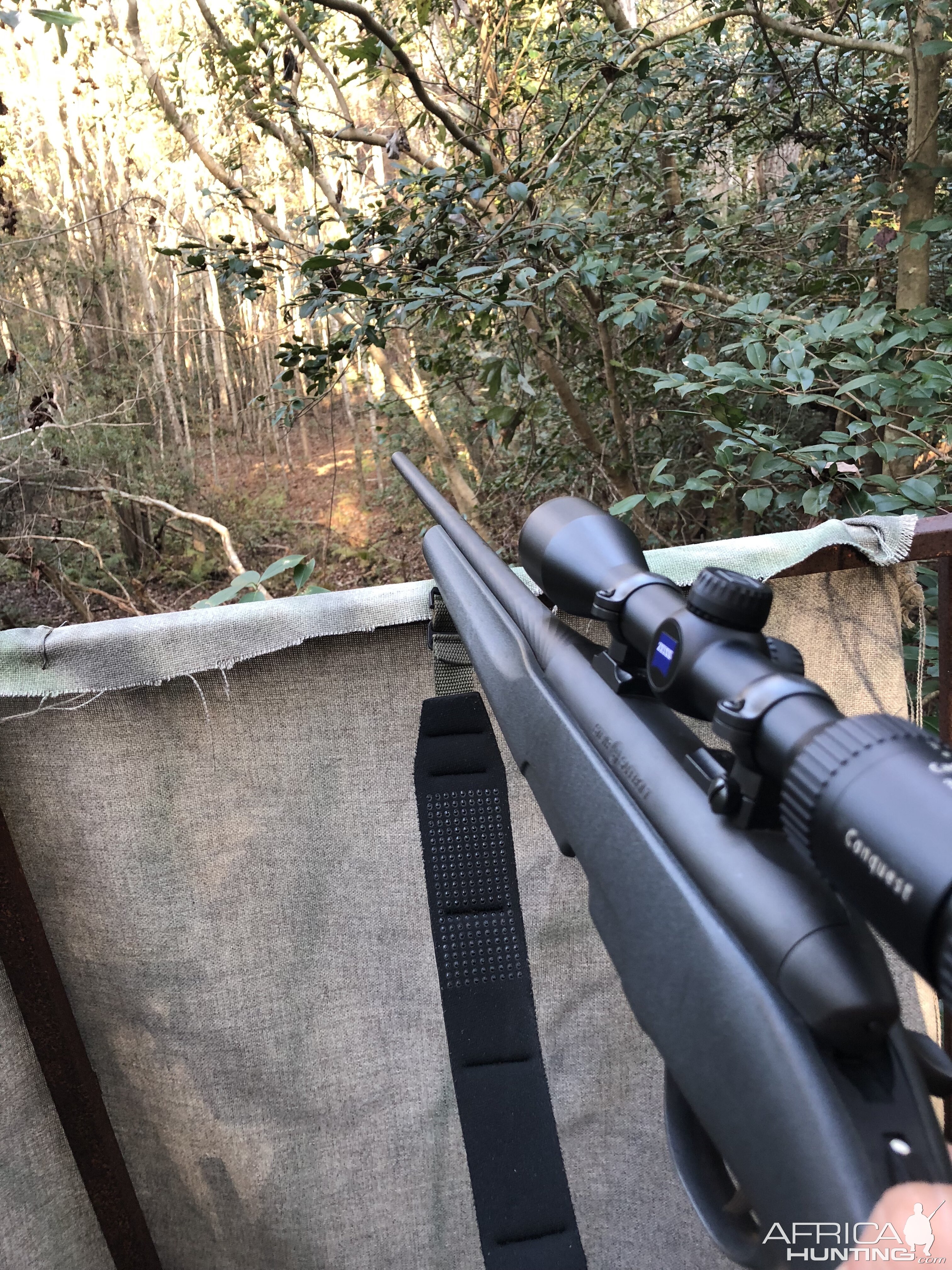 Steyr Pro Hunter Rifle 270, Zeiss Conquest 3-9x40 Riflescope