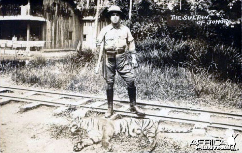Sultan Ibrahim of Johore Hunting Tiger in Malaysia