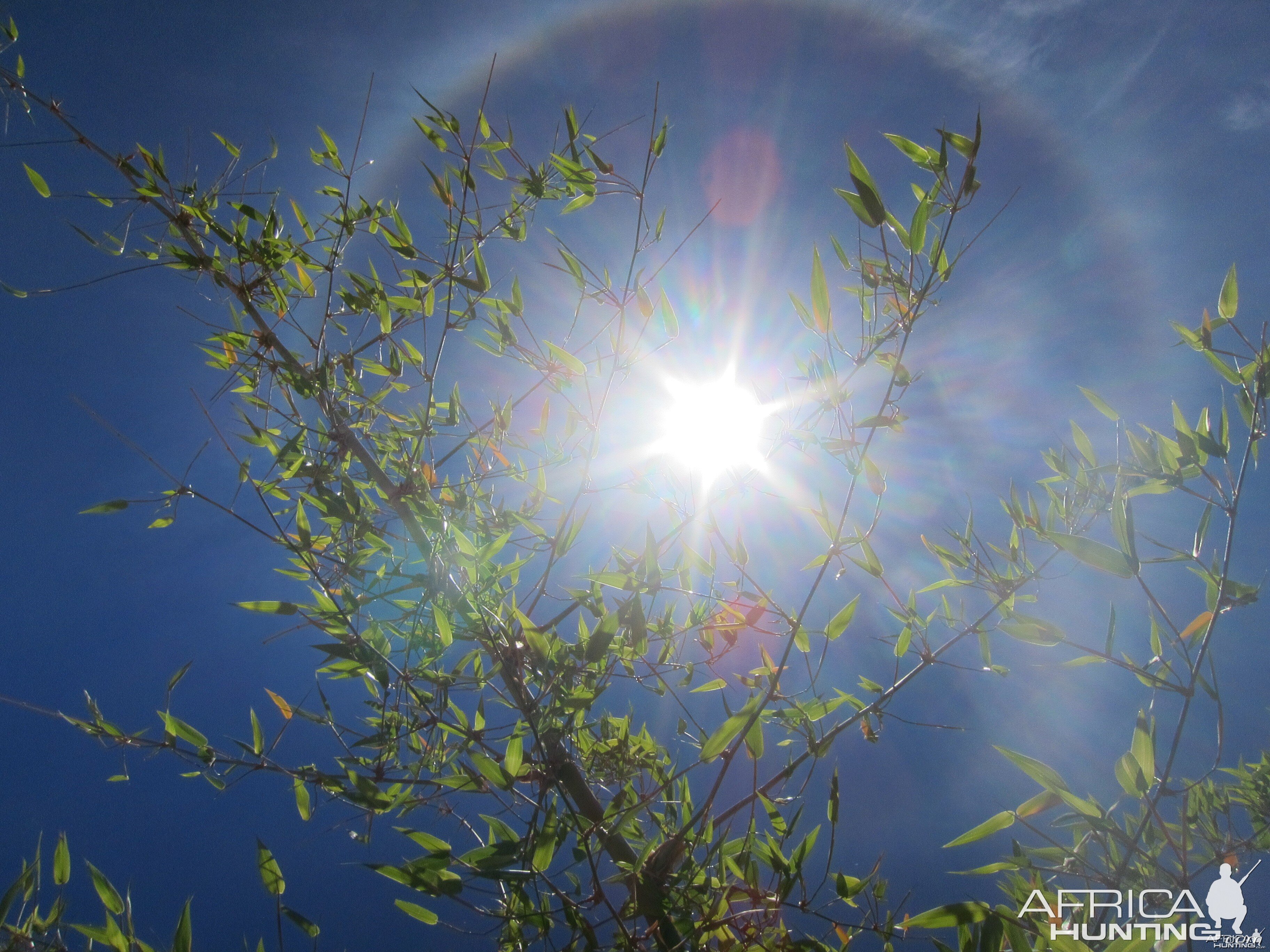 Sun Halo in Namibia