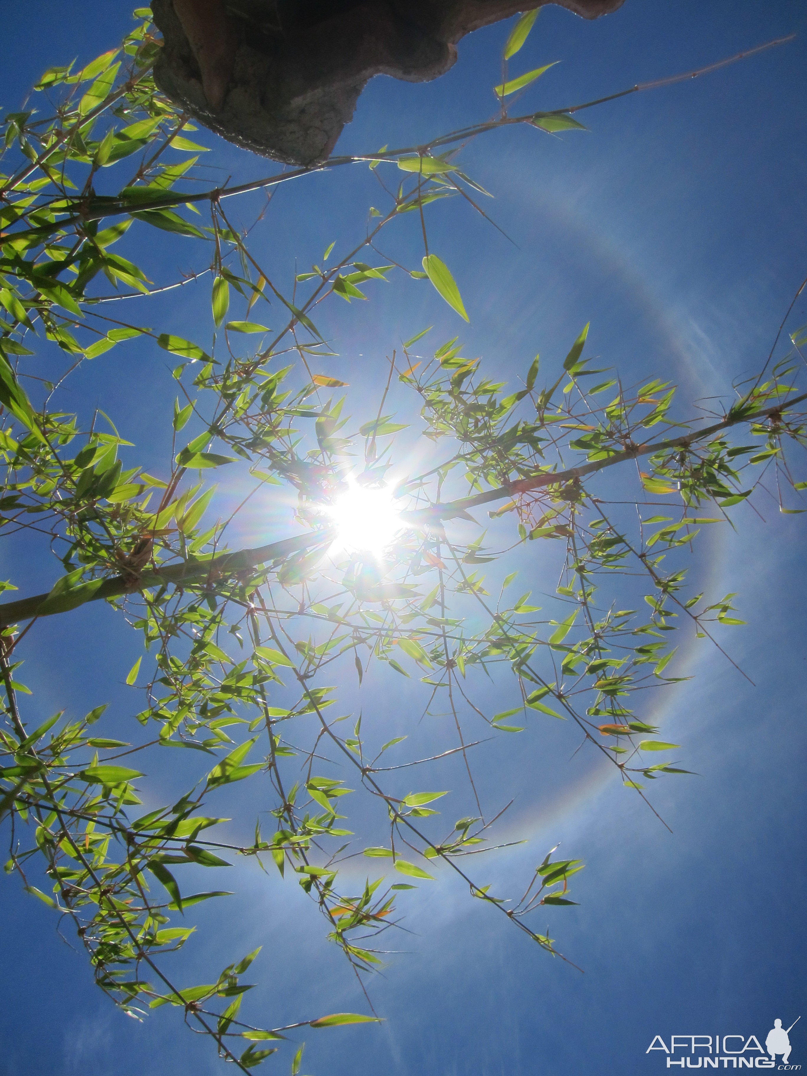 Sun Halo in Namibia