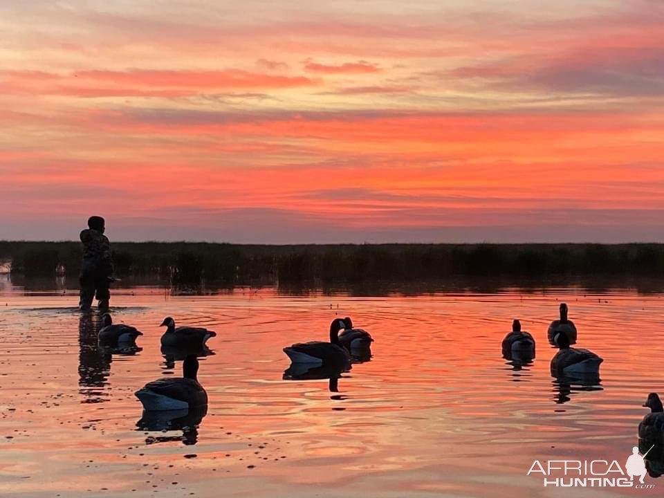 Sunrise & Duck Decoys