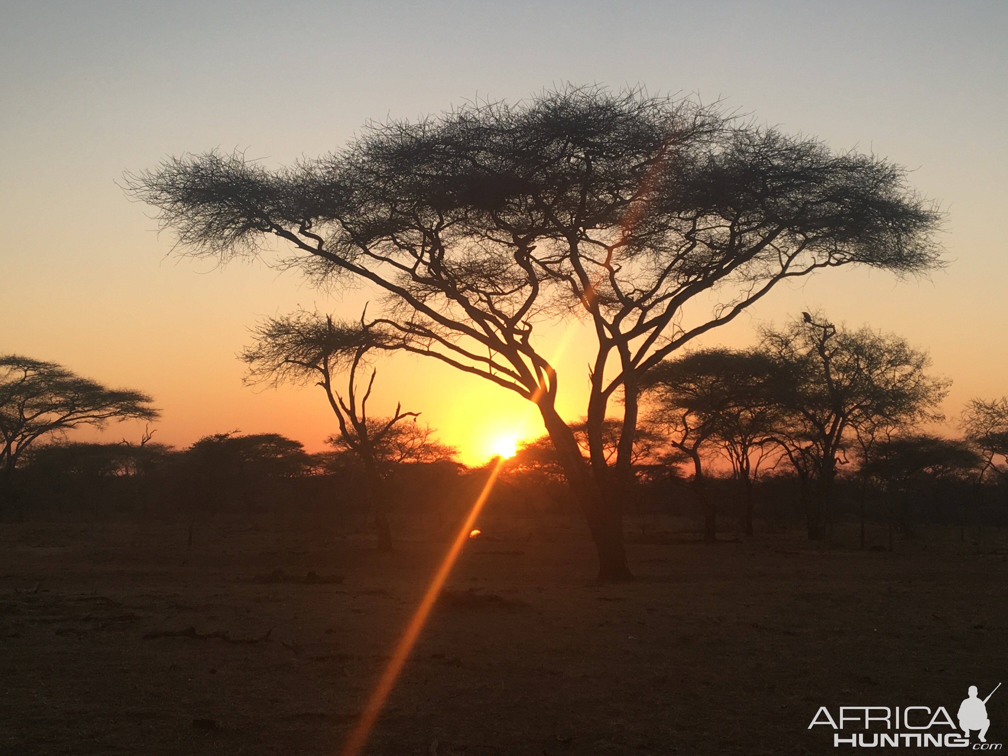 Sunrise in Zimbabwe