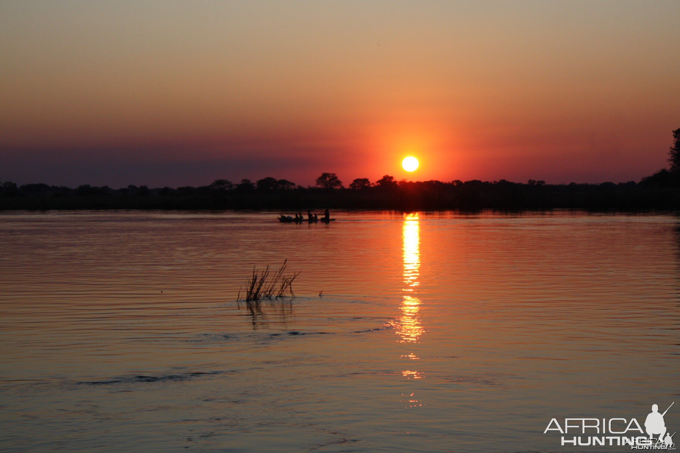 Sunset Chobe