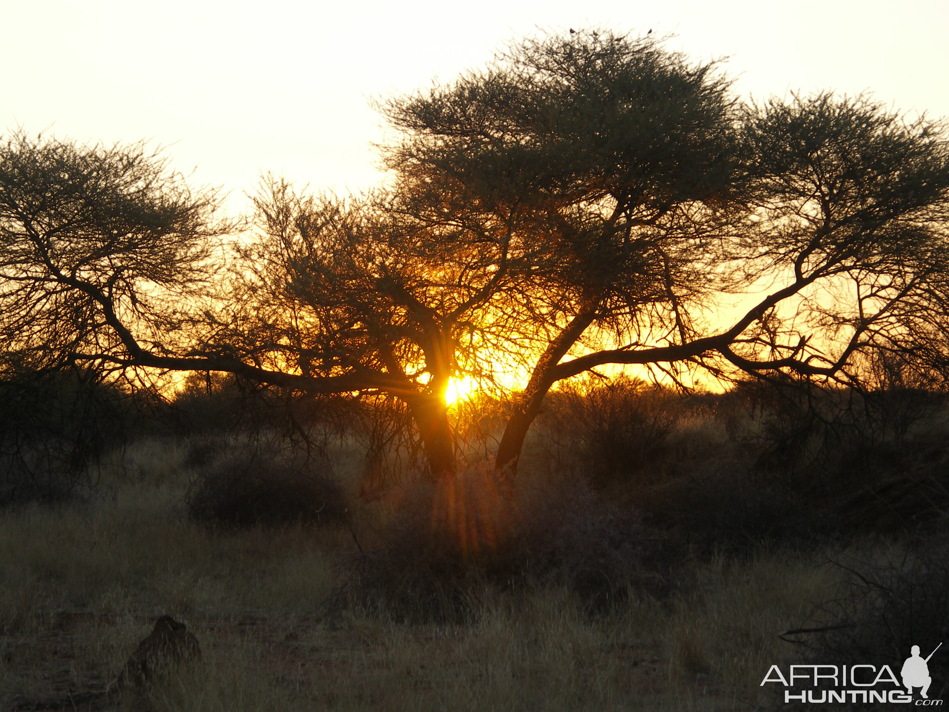 Sunset Namibia