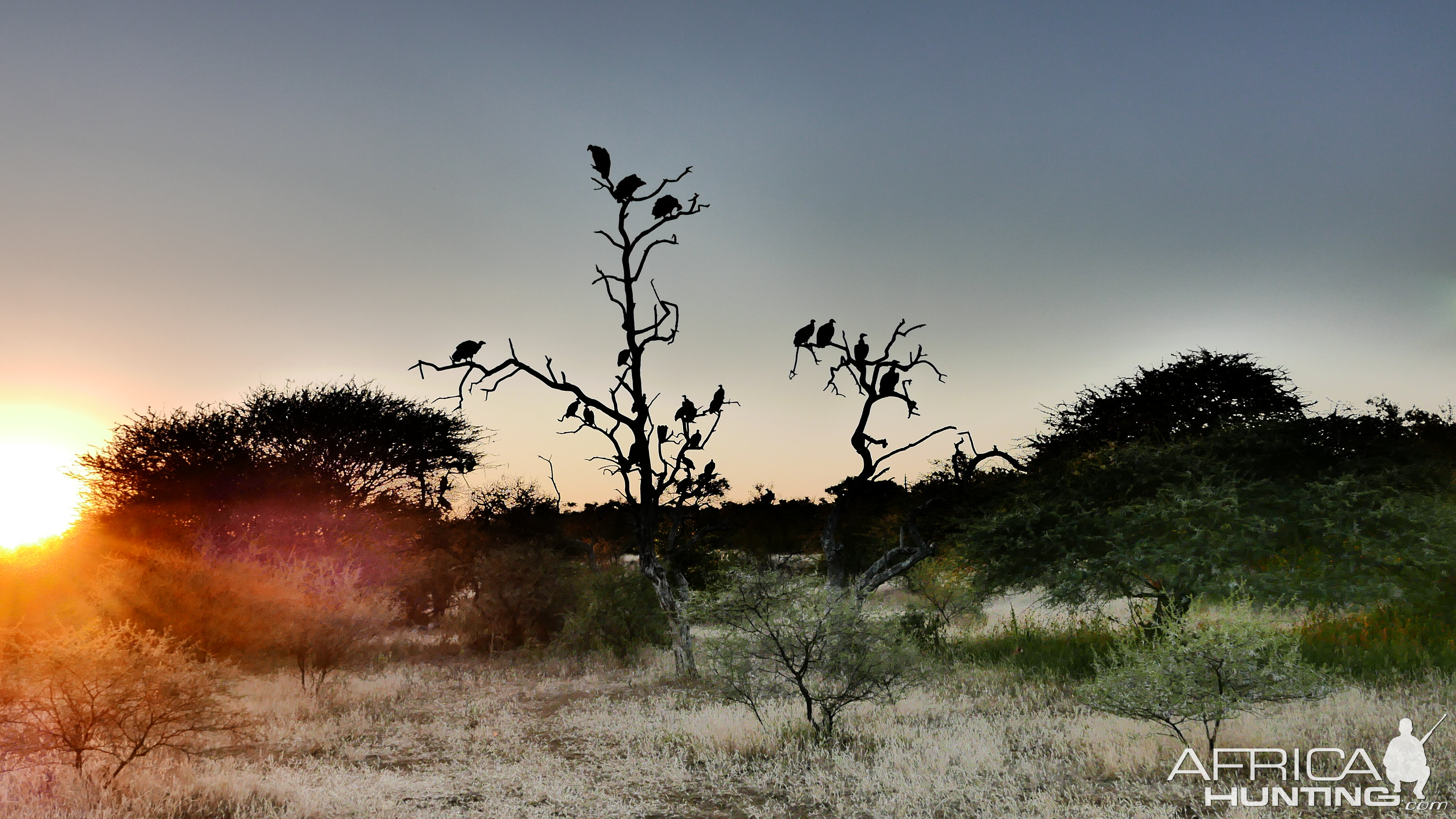 Sunset near the Zimbabwe, Botswana border