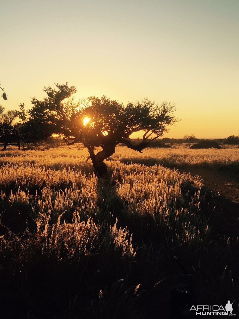 Sunset South Africa