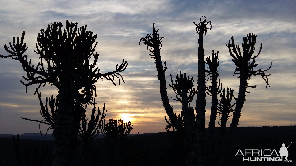 Sunset South Africa