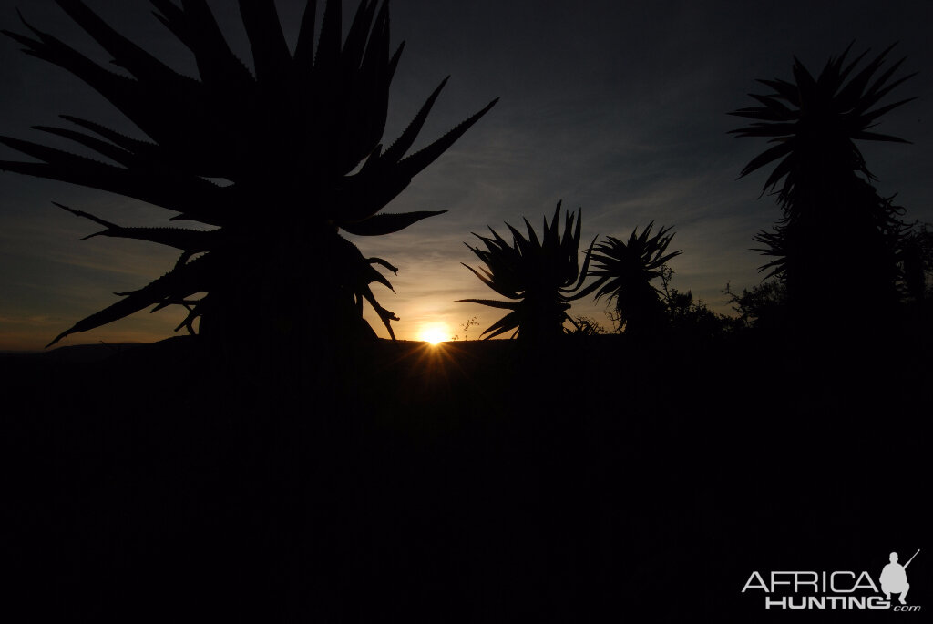 Sunset South Africa