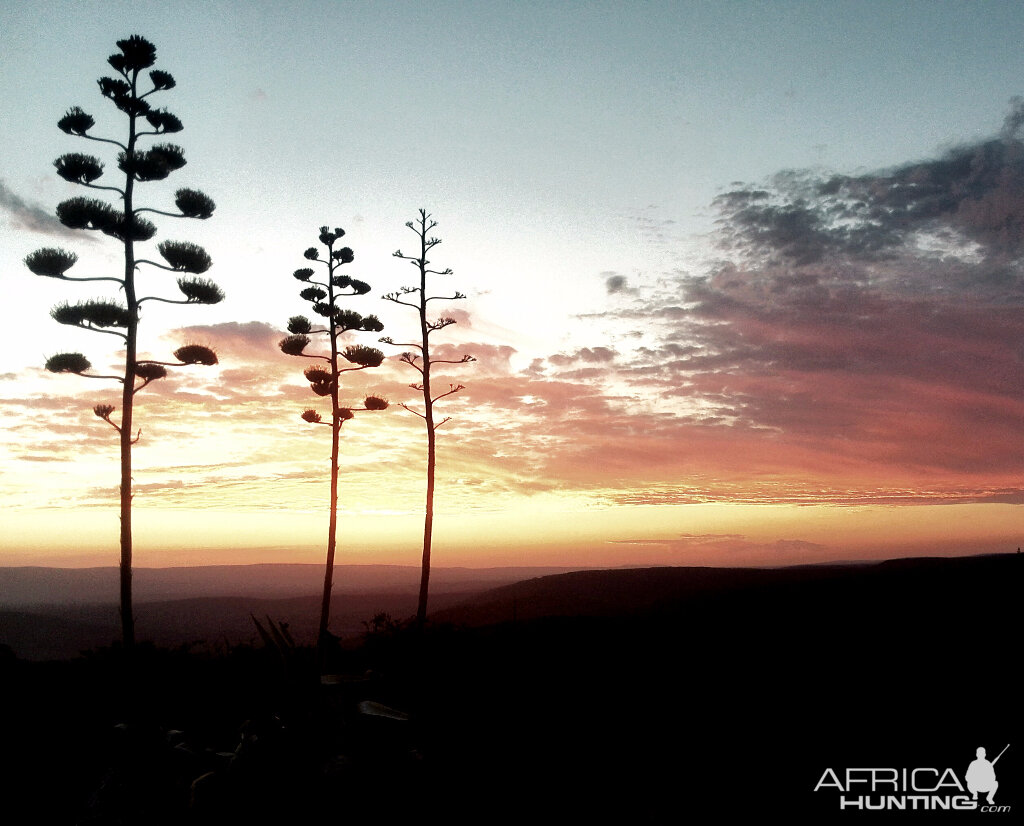 Sunset South Africa