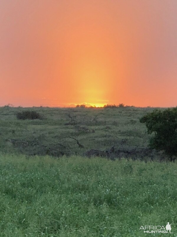 Sunset Texas