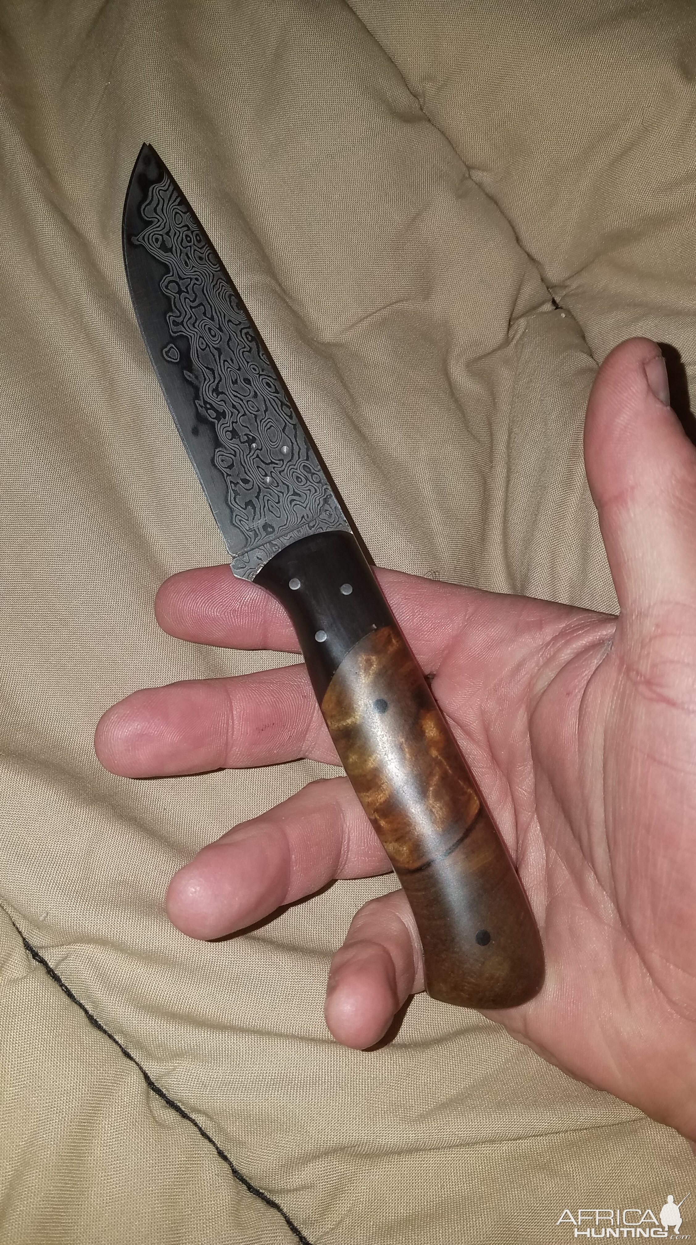 Swamp Kauri Knife