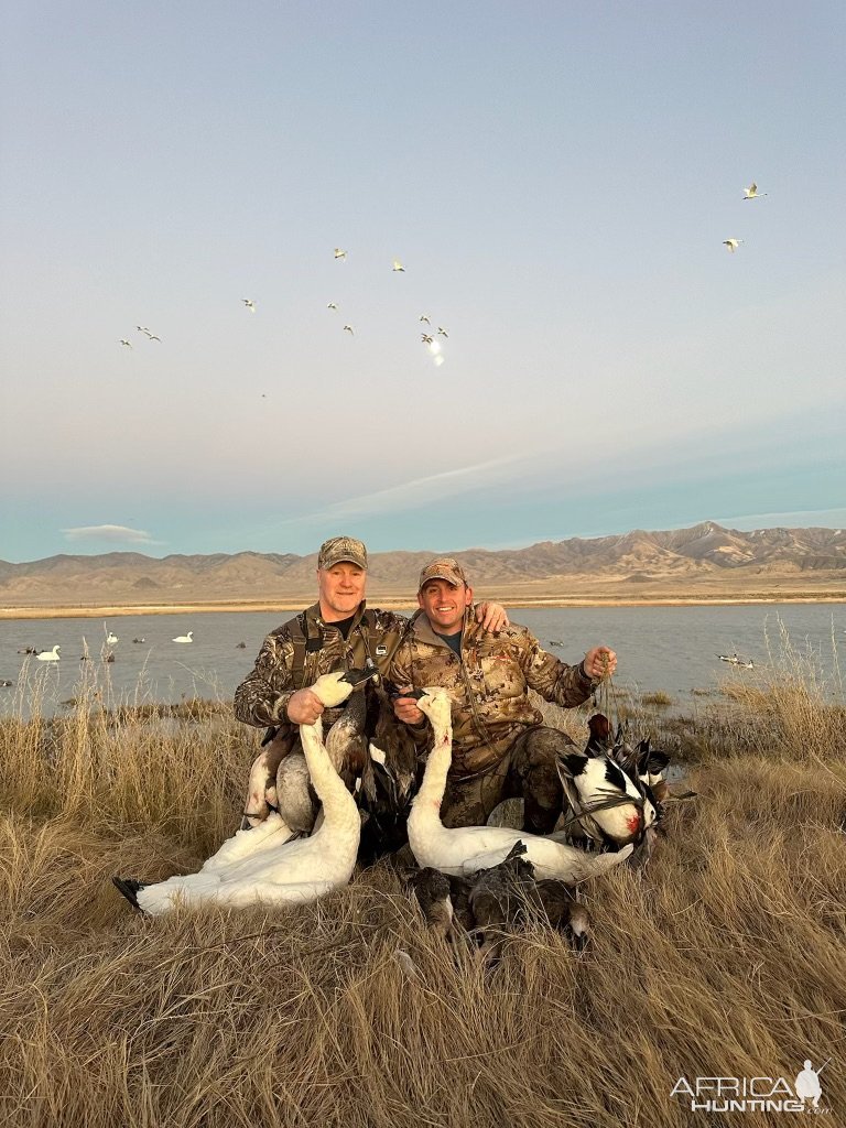 Swan Hunt Nevada