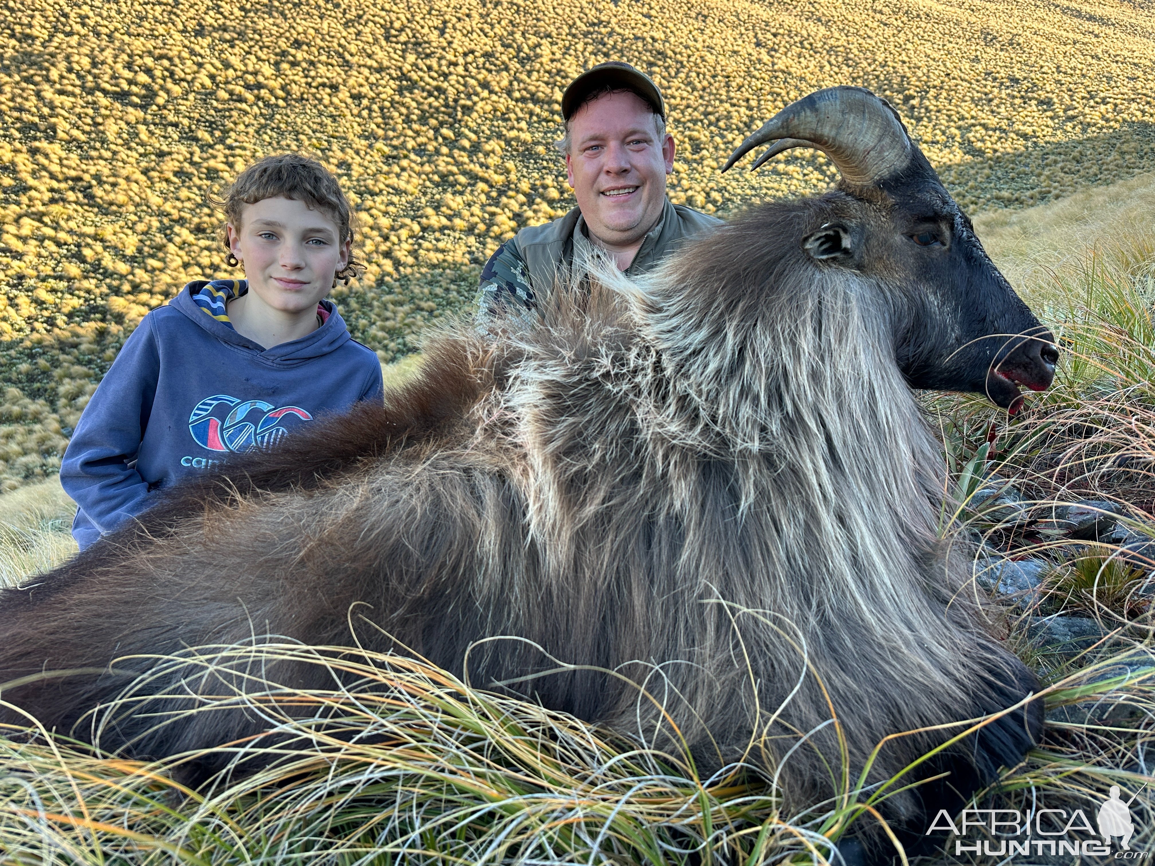 Tahr Hunt New Zealand