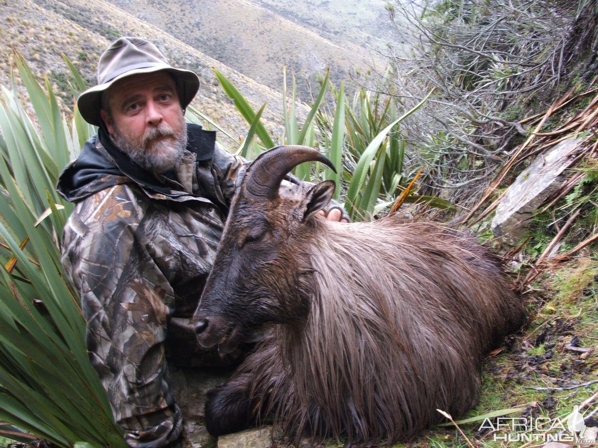 Tahr Hunt New Zealand