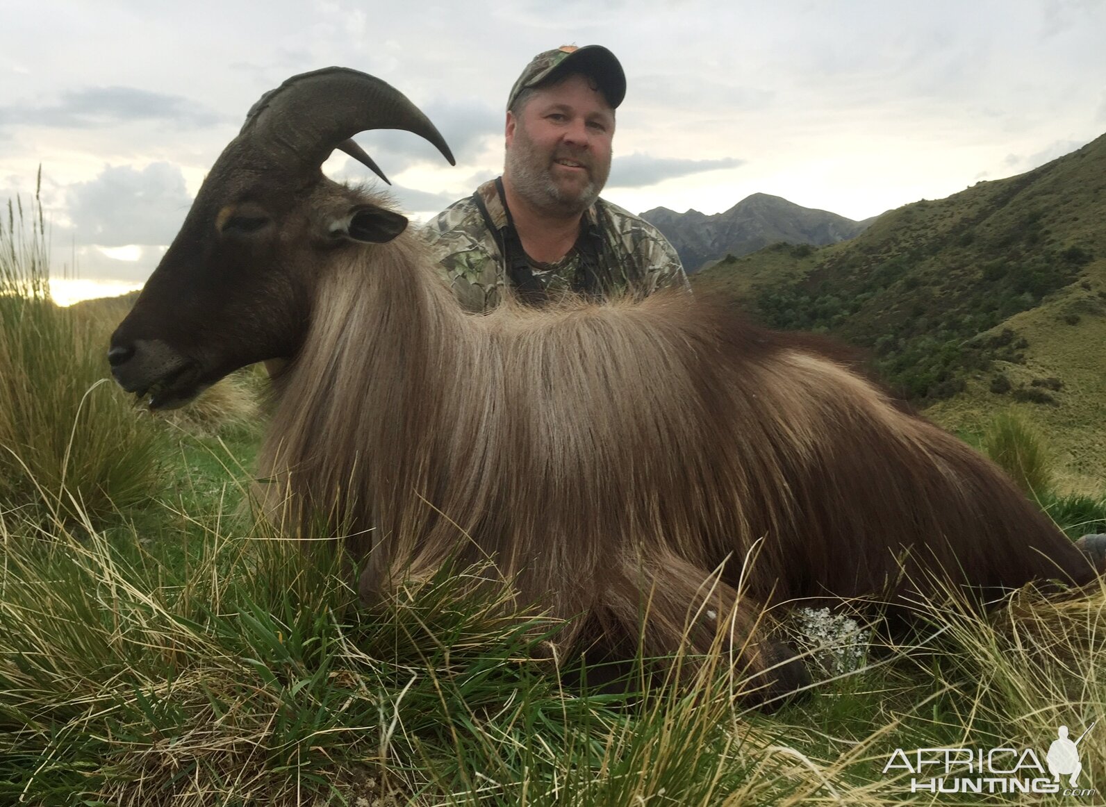 Tahr Hunt New Zealand