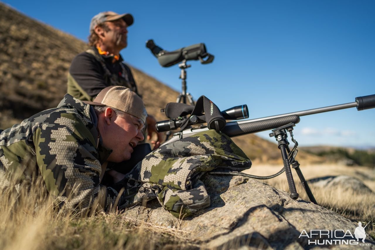 Tahr Hunting free range