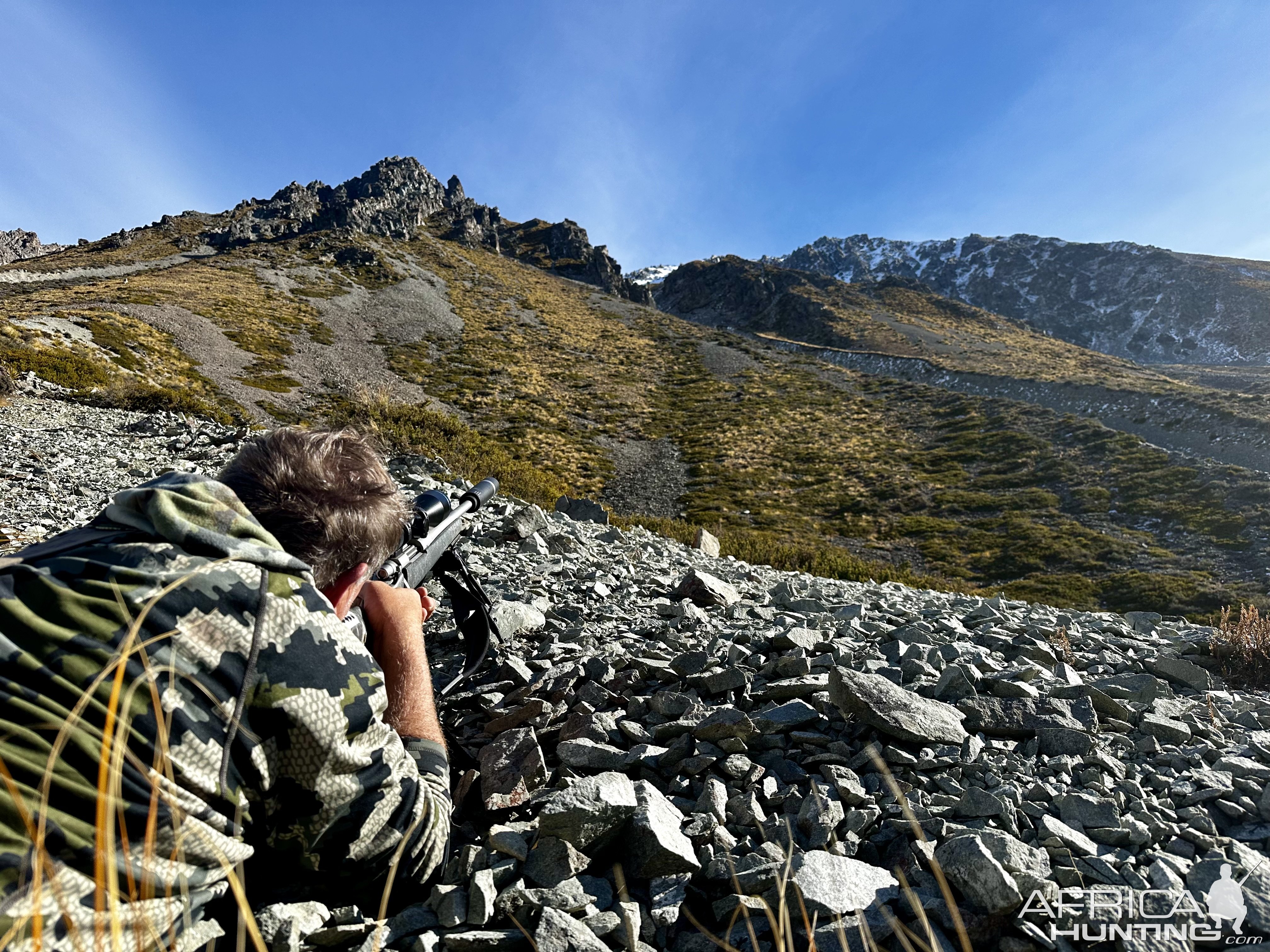 Tahr Hunting New Zealand Safaris