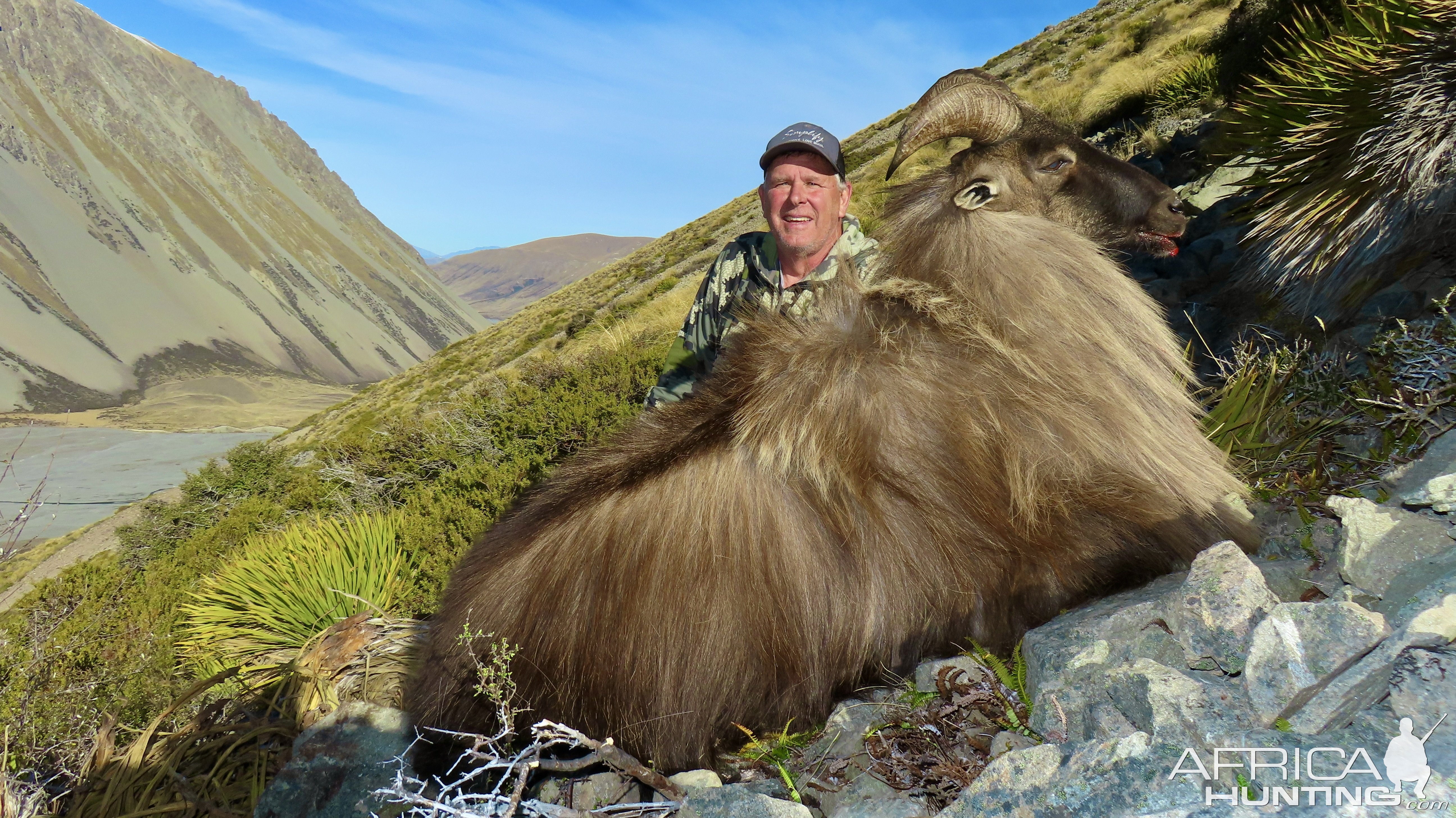 Tahr Hunting private land free range