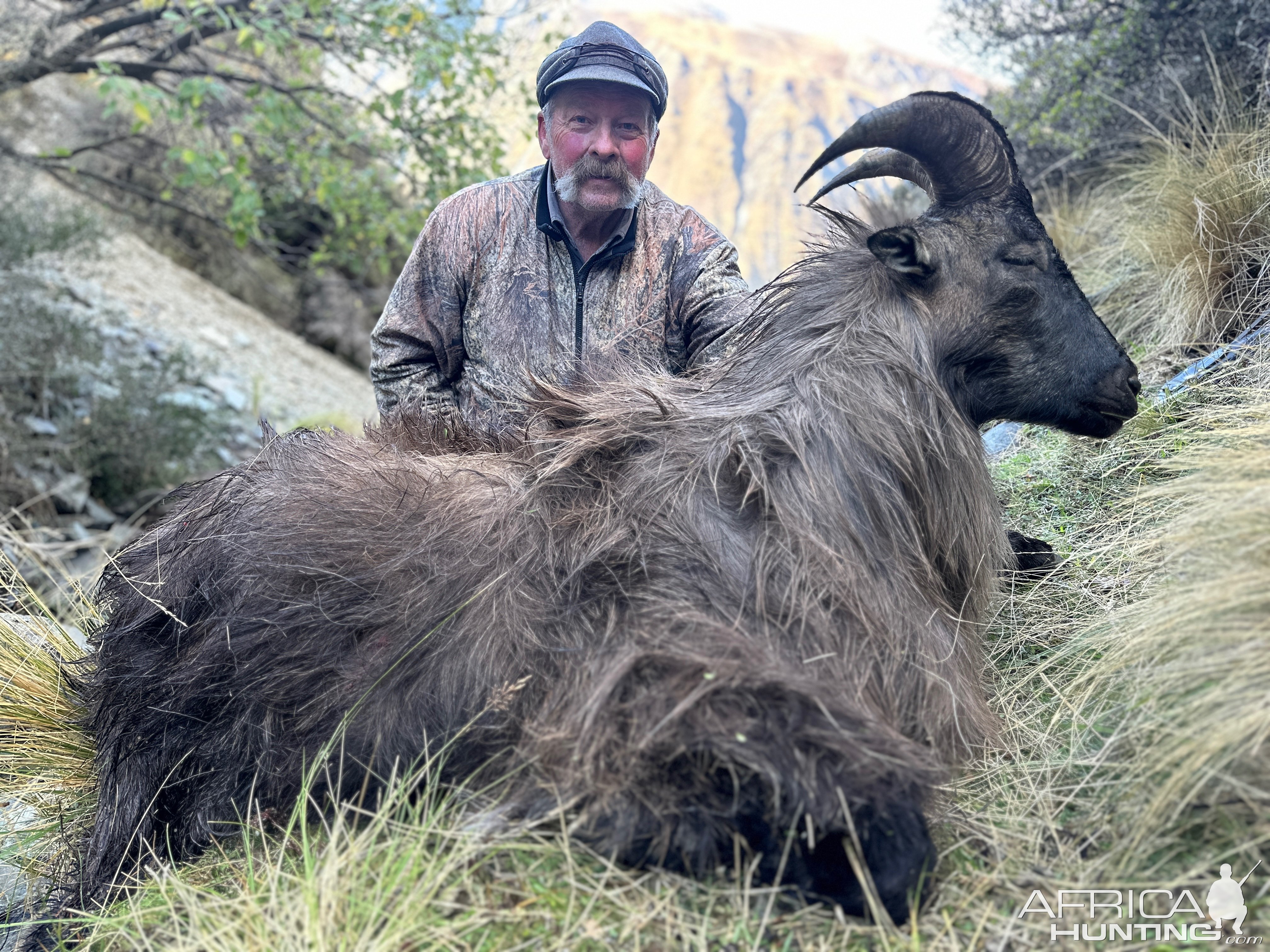 Tahr hunting