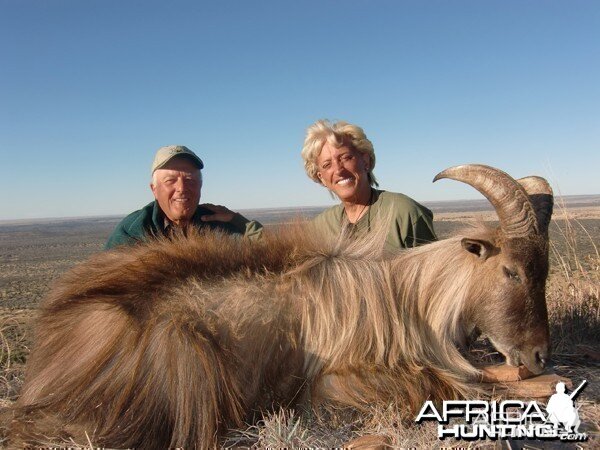 Tahr