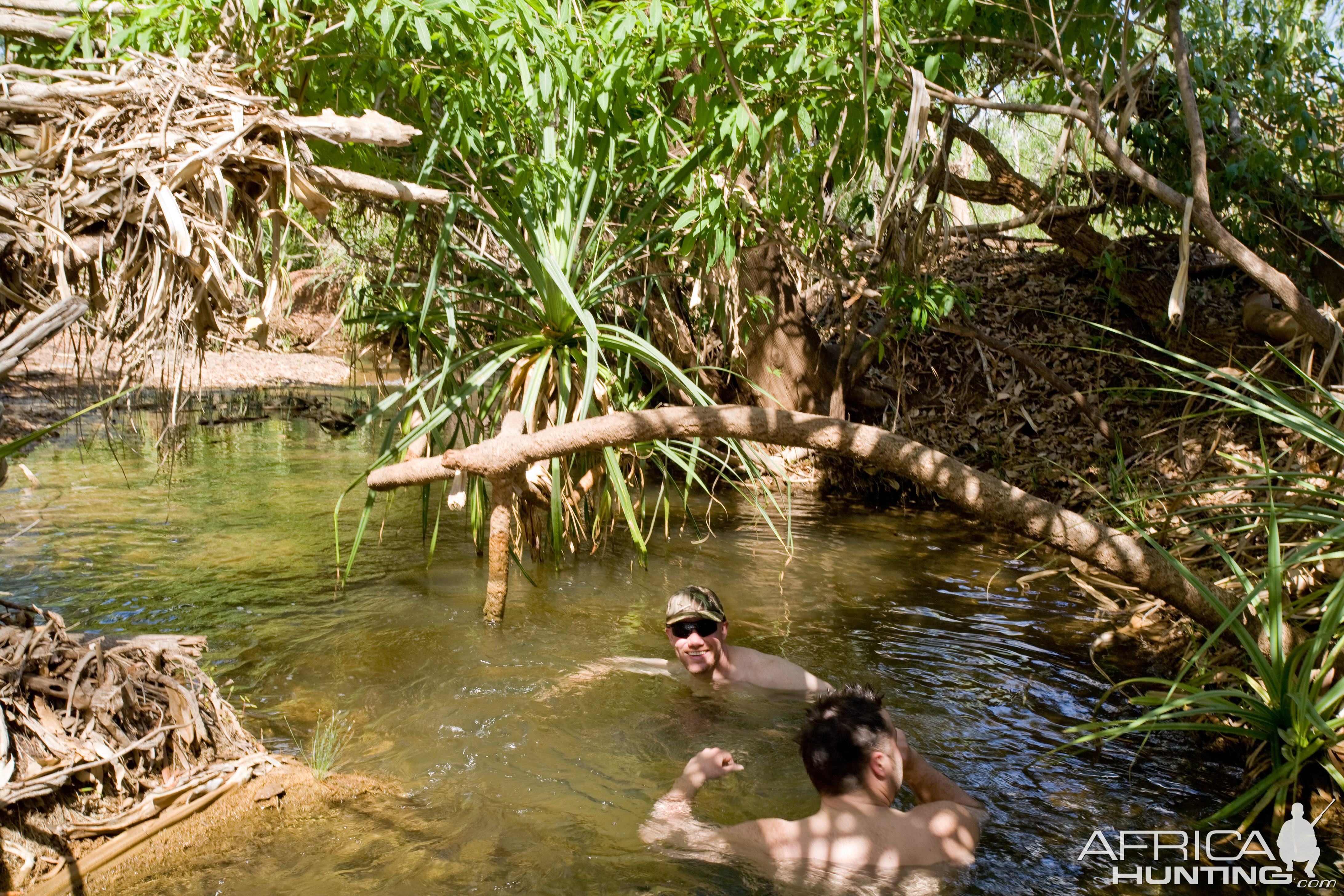 Taking a swim