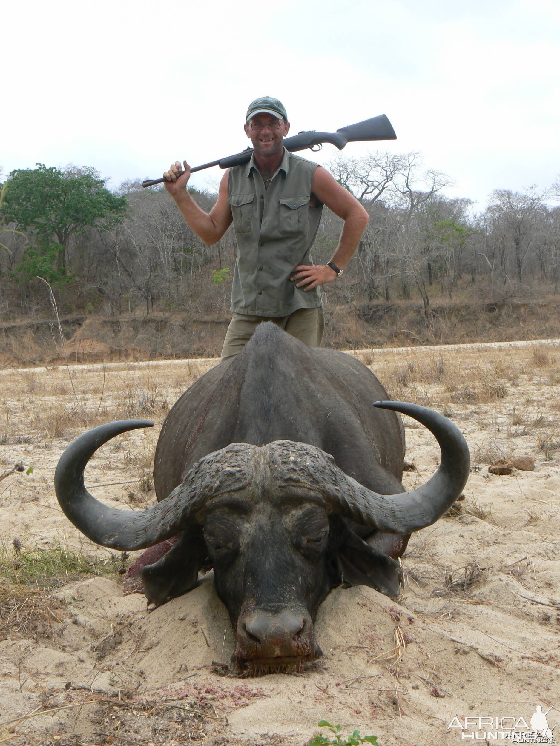 Tanzania. Cape buffalo. 42'