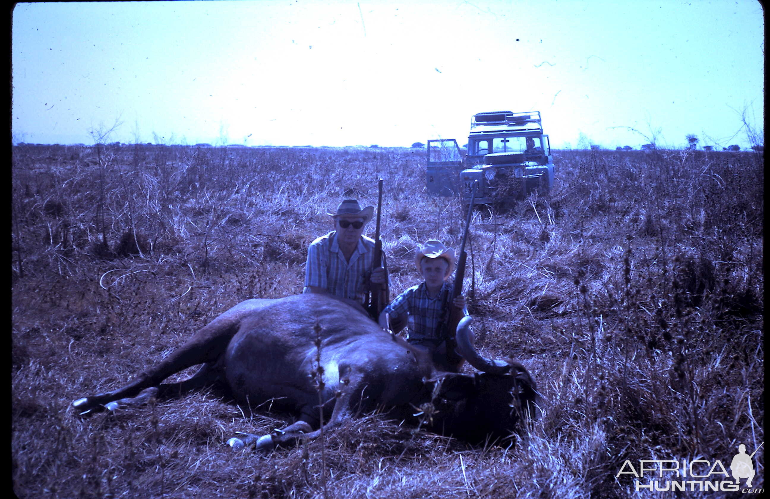 Tanzania Hunt Buffalo Cow during 60's