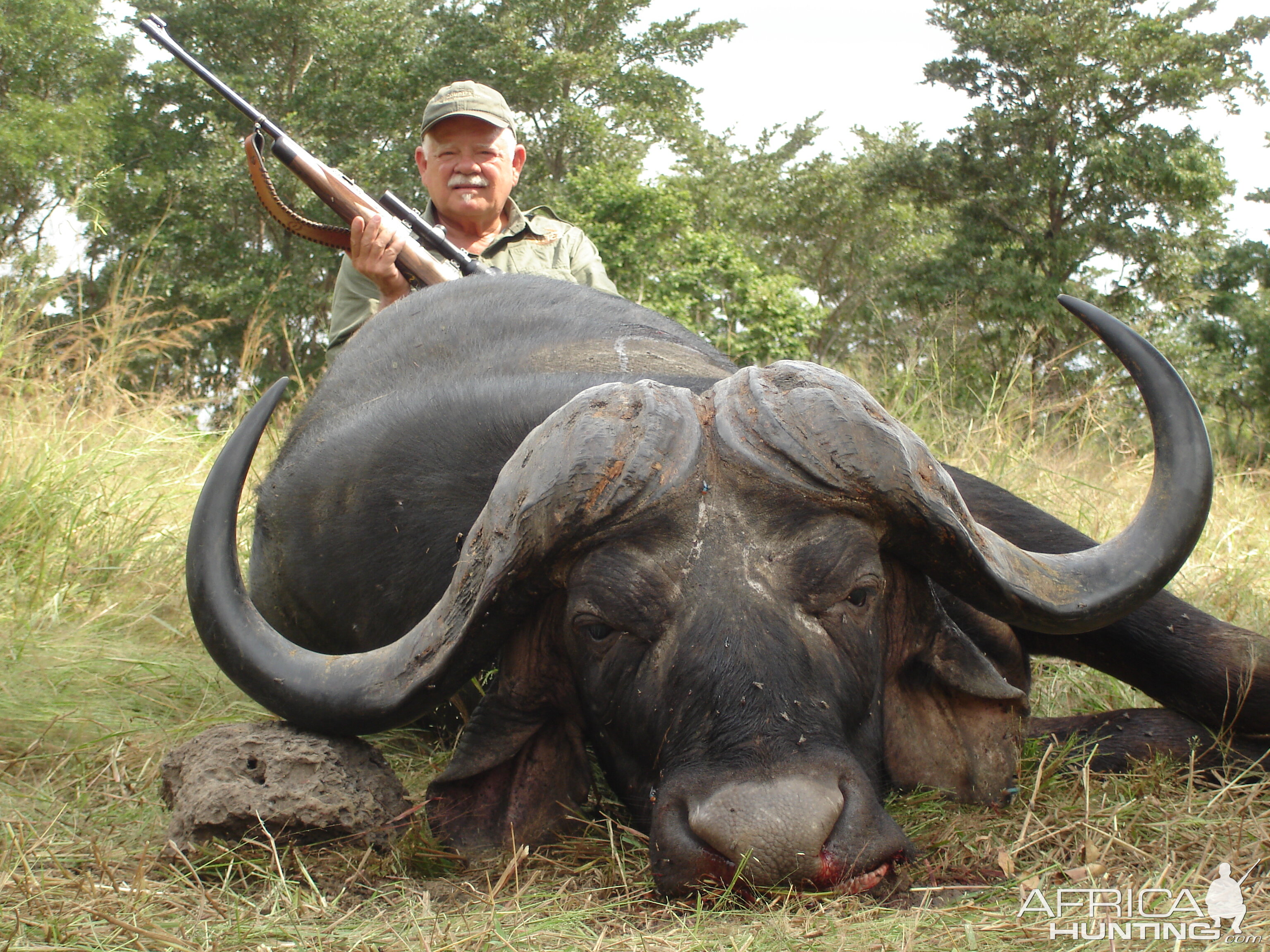 Tanzania Hunt Cape Buffalo