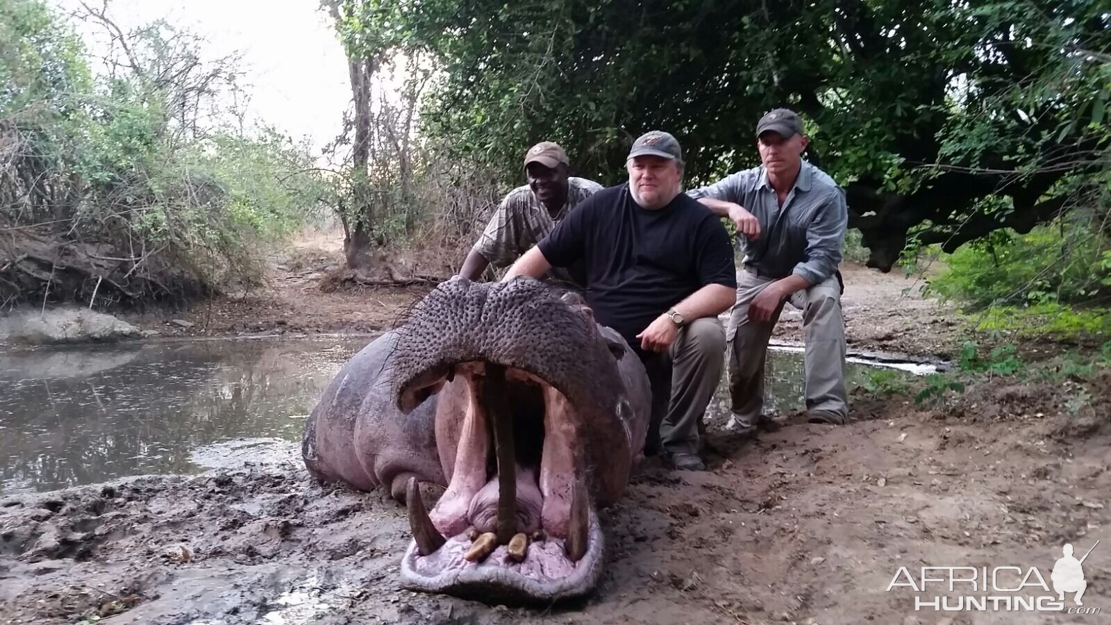 Tanzania Hunt Hippo