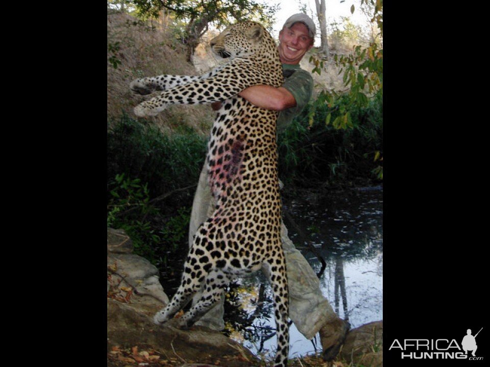 Tanzania Hunt Leopard