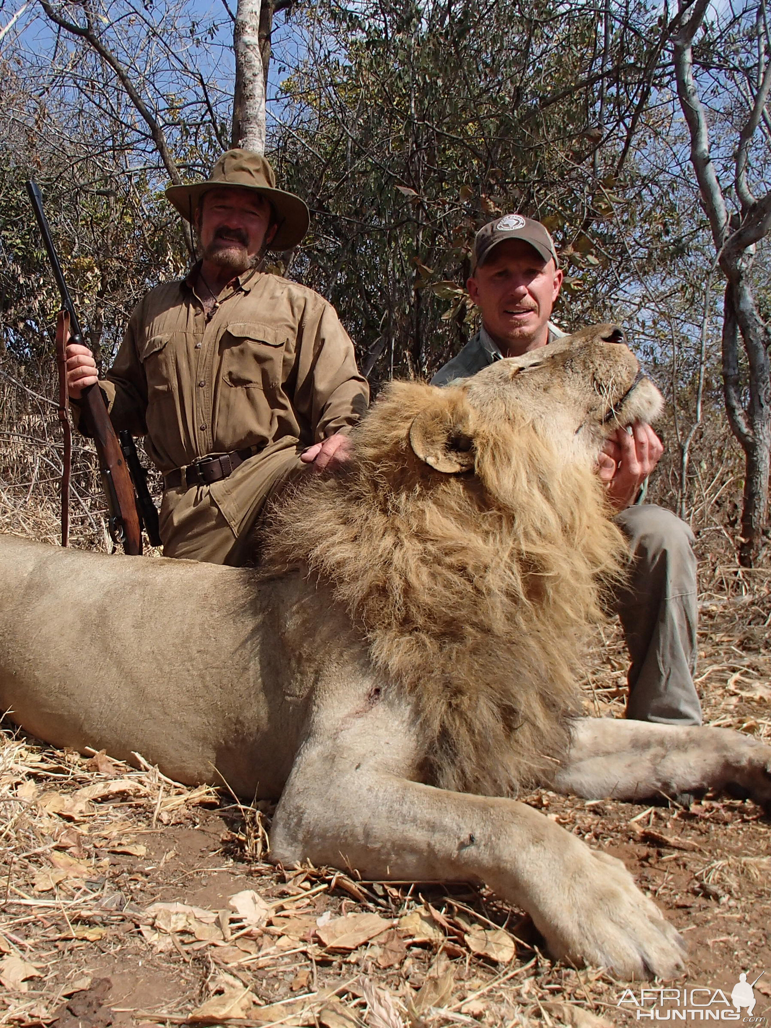 Tanzania Hunt Lion