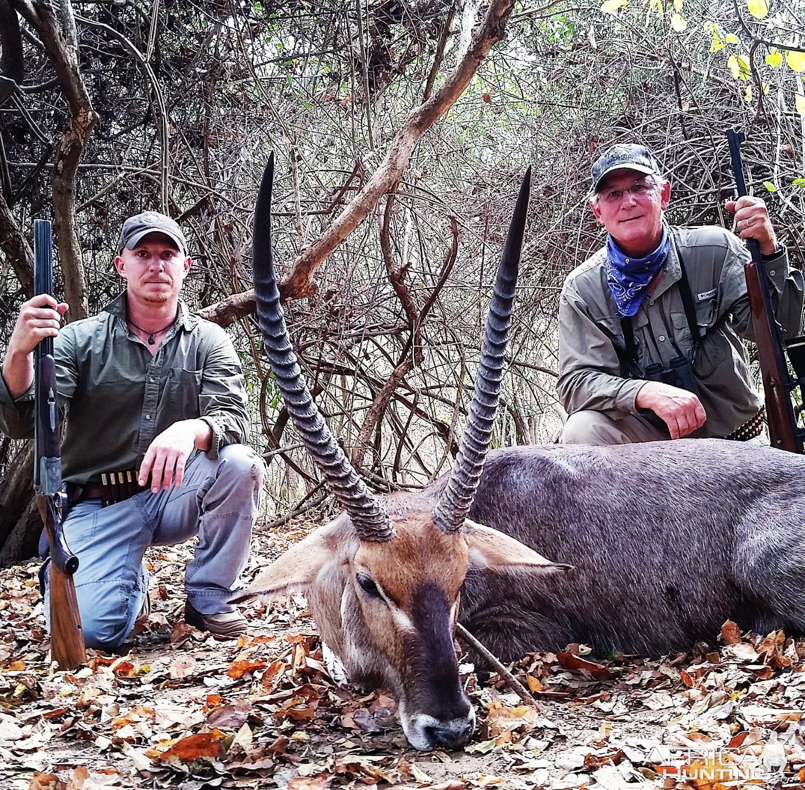 Tanzania Hunting Buffalo