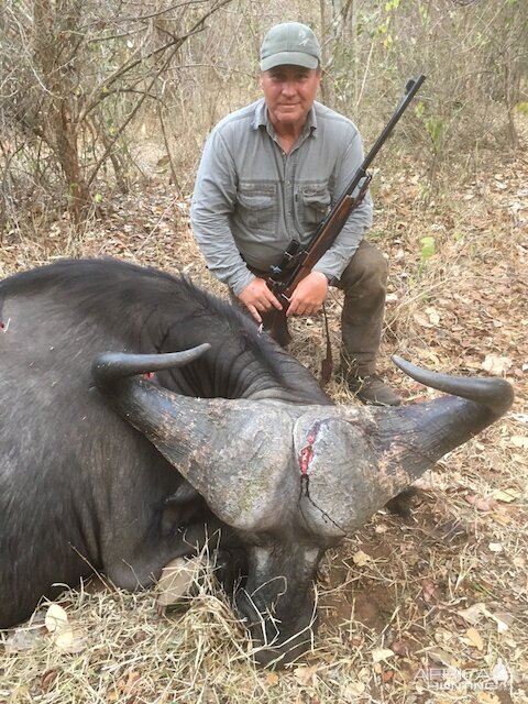 Tanzania Hunting Buffalo